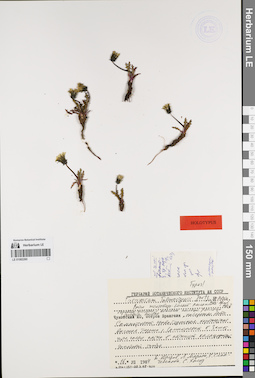 LE 01082260