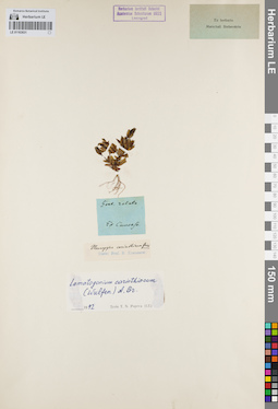 LE 01163031