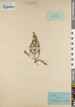 LE 01163068