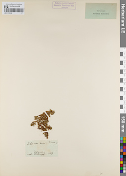LE 01179162