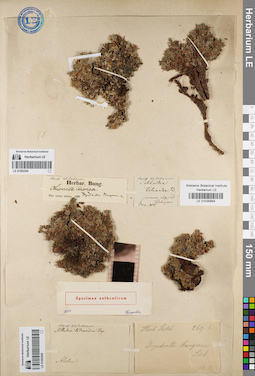 LE 01082294