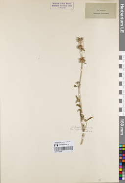 LE 01179208
