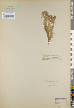 LE 01179426