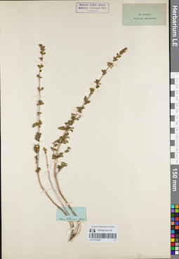 LE 01179459