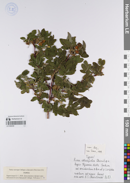 LE 01082329