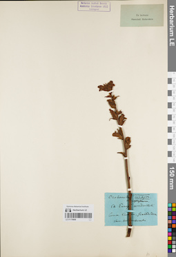 LE 01179808