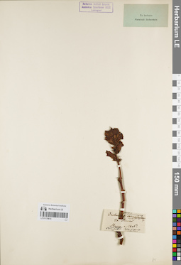 LE 01179810