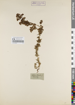 LE 01180102