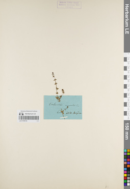 LE 01180134