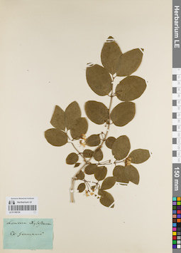 LE 01180154