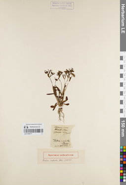 LE 01180177