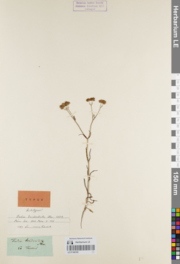 LE 01180195