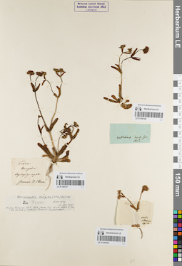 LE 01180199