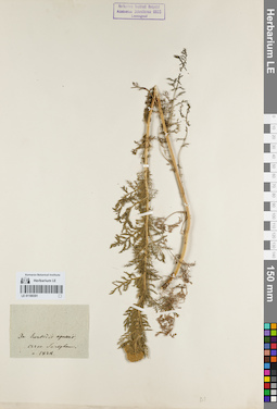 LE 01180301