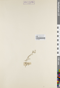LE 01180626