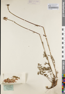 LE 01180691