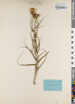 LE 01180709
