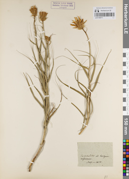 LE 01180711
