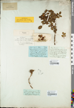 LE 01161808