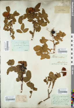 LE 01161869