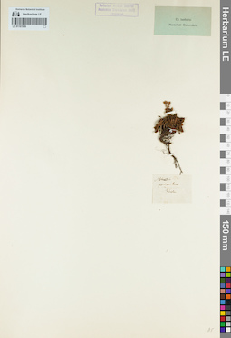 LE 01161989