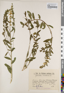 LE 01181482