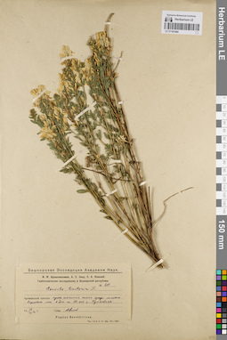 LE 01181484