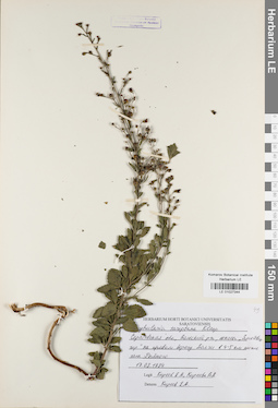 LE 01027344