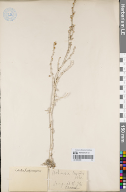 LE 00054605