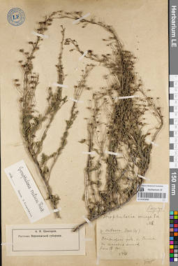 LE 01053680