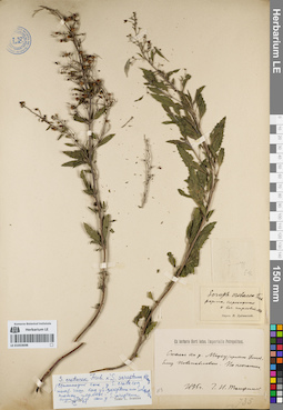 LE 01053698