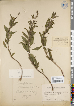 LE 01053700