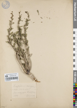 LE 01053714
