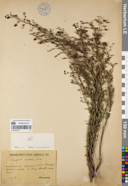 LE 01053718