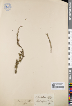 LE 01053721