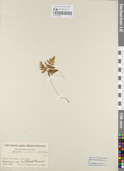 LE 01181686