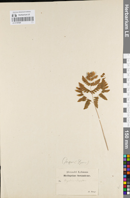 LE 01181820