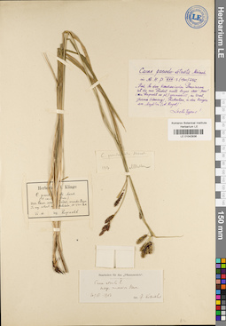 LE 01042936