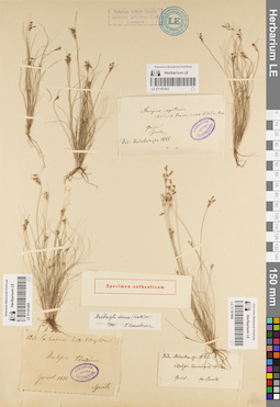 LE 01181903