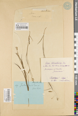 LE 01181914