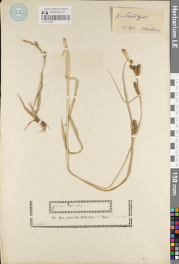 LE 01181922
