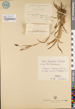 LE 01181940