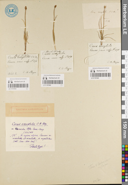 LE 01181945