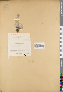 LE 00054582