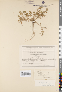 LE 00054755
