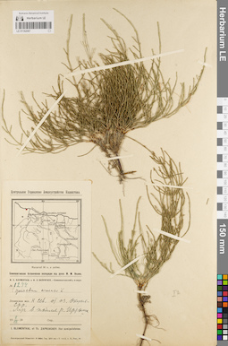 LE 01182067