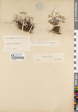 LE 00054804