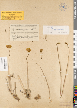 LE 01035128