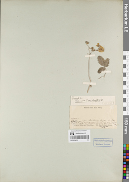 LE 00054832