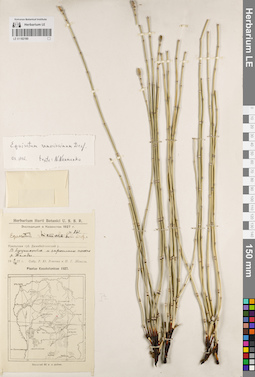 LE 01182180
